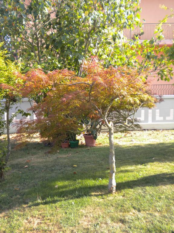 Civico 493 B'N'B Panzió Preganziol Kültér fotó